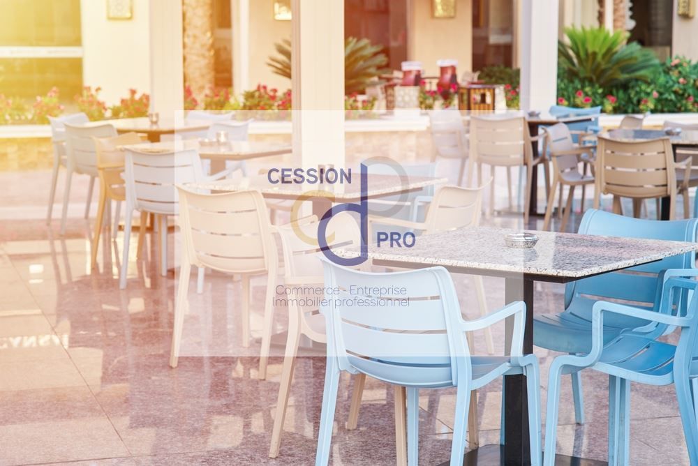 RESTAURANT ET HOTEL A VENDRE MURS ET FONDS PROCHE ARLES ET BORD DE MER 765000 13200 Arles