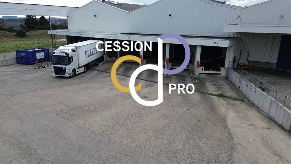 LOCAUX D'ACTIVITE - ENTREPOTS DE 11 164 m&sup2; DIVISIBLES A LOUER A N&Icirc;MES 184206 30900 Nimes