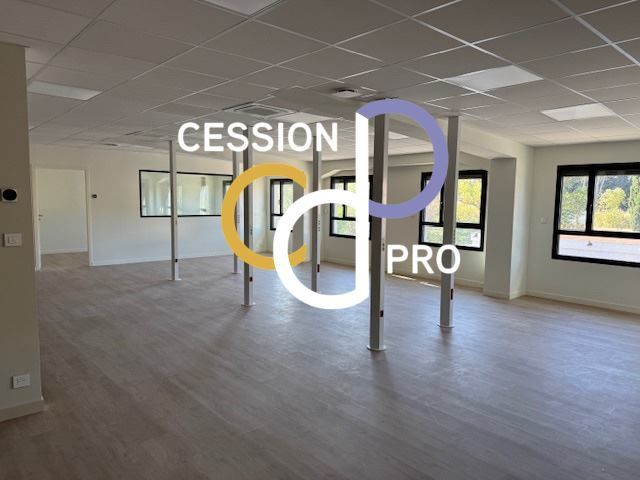 BATIMENT DE 300 M2 AVEC BUREAUX ET STOCKAGE A LOUER A SAINT-REMY-DE-PROVENCE 11250 13210 St remy de provence