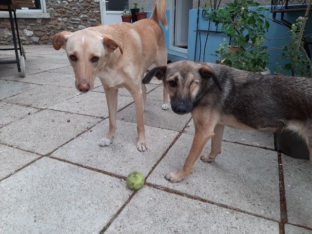 LARA EN ACCUEIL DANS LE 95 RECHERCHE FOYER SEREIN 0 93000 Bobigny