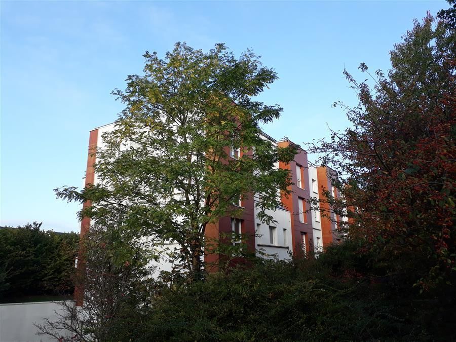 SEDEI GESTION Appartement 2 Pi ce s 51 M Amiens 80 Louer PAUL