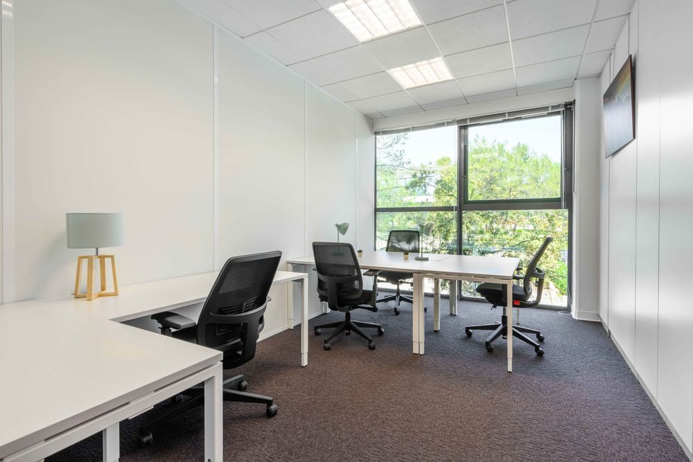 Espace de bureau priv&eacute; personnalis&eacute; en fonction des besoins uniques de votre entreprise &agrave; SOPHIA, Antipolis Mougins 829 06250 Mougins