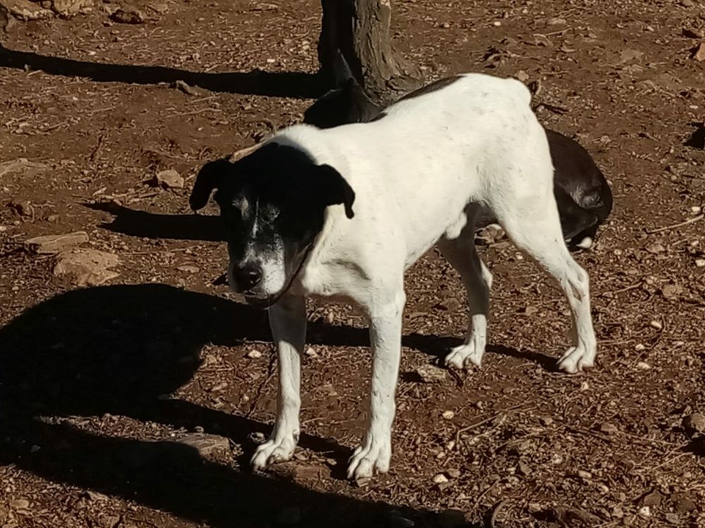 Samuel 300 78170 La celle-saint-cloud