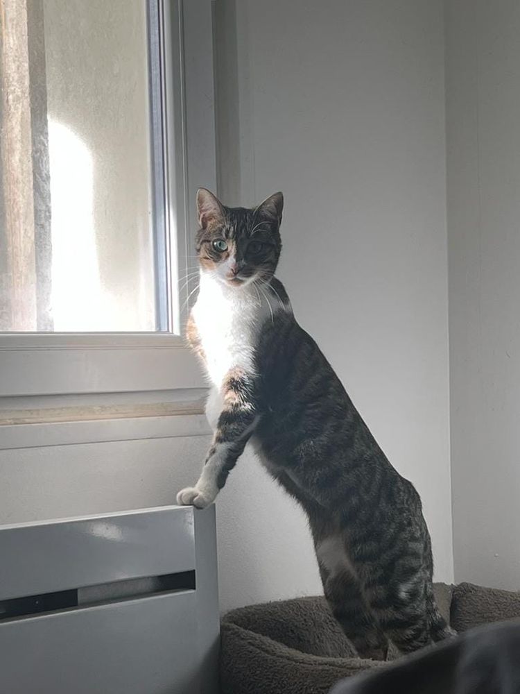 VICTORIA 230 27620 Gasny