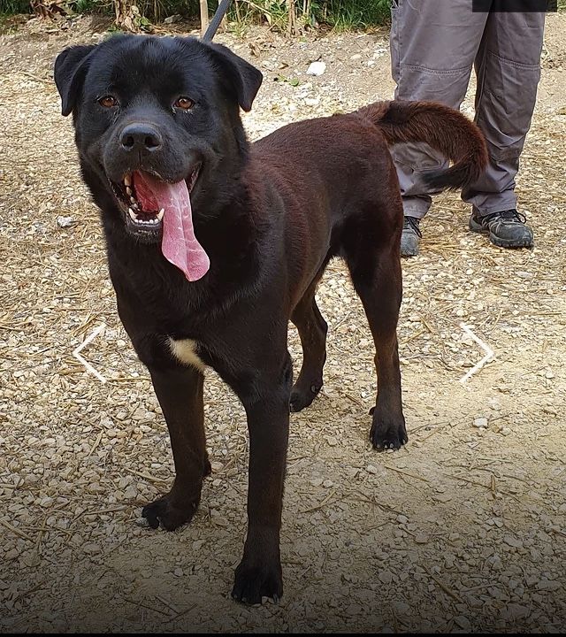 Malo 230 26700 Pierrelatte