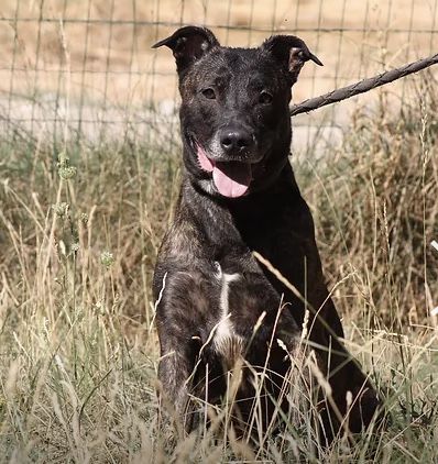 Cartel 130 26700 Pierrelatte