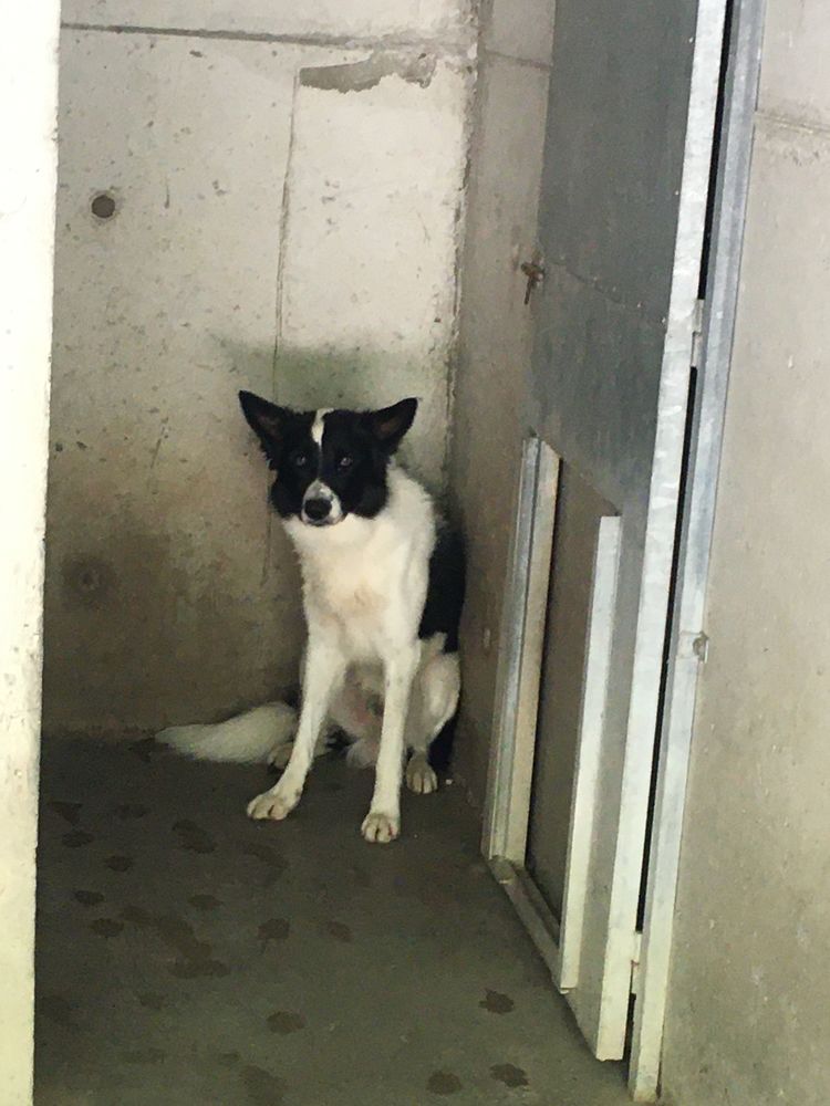 Rom&eacute;o 230 26700 Pierrelatte