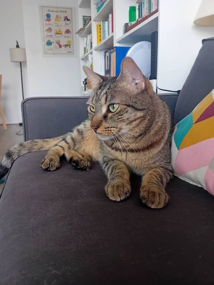 MAURICE 240 92400 Courbevoie