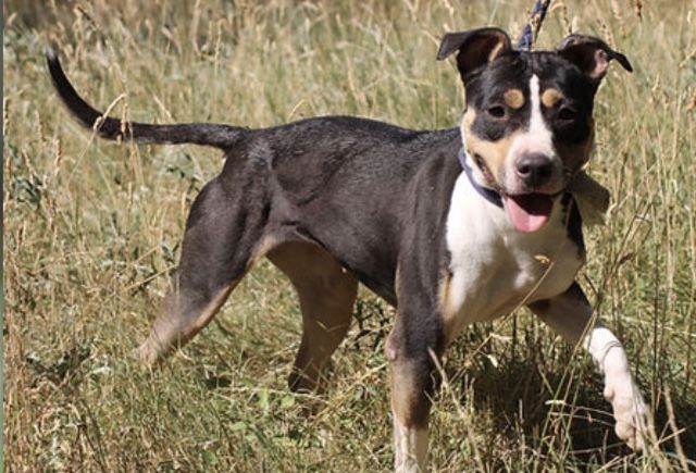 Flow 230 26700 Pierrelatte