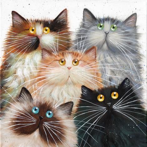 visite chat &agrave; domicile sur Beauvais toute l'ann&eacute;e 8 60000 Beauvais