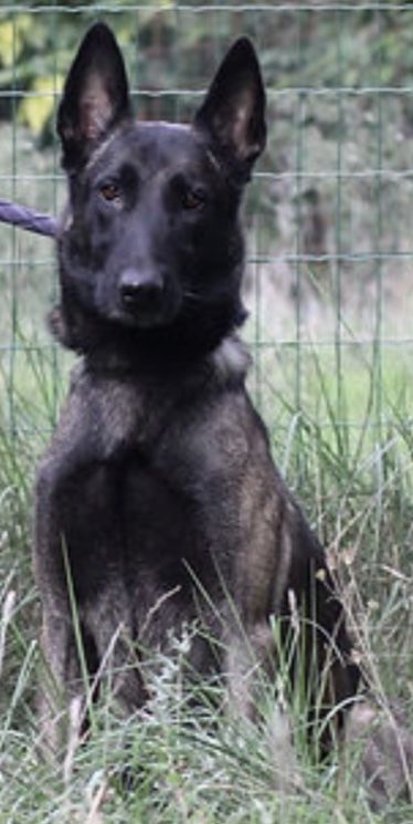 Pako 230 26700 Pierrelatte