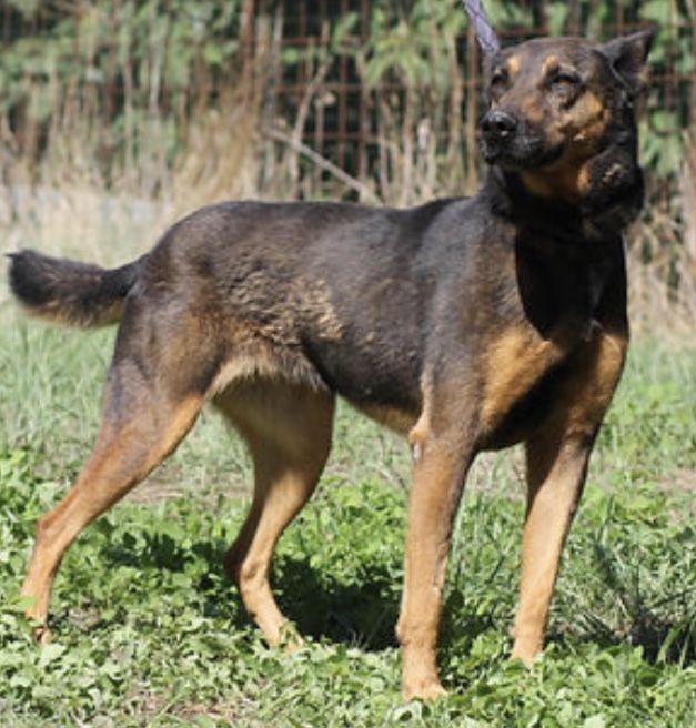 Pakita 130 26700 Pierrelatte