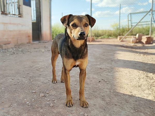 BOMBON 320 27620 Gasny