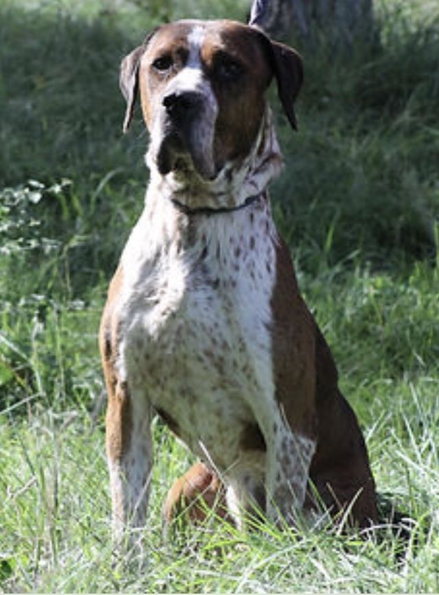 Tax 130 26700 Pierrelatte