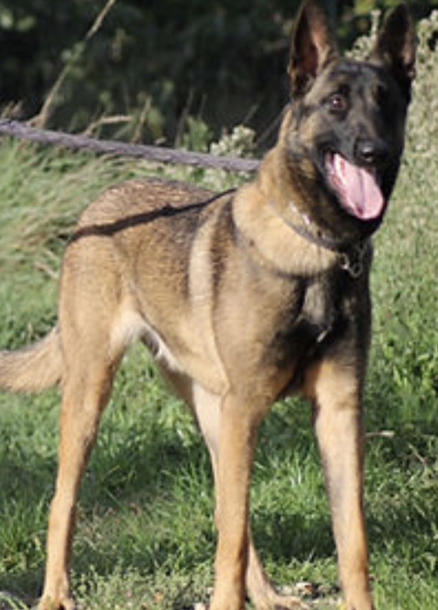 Sya 230 26700 Pierrelatte