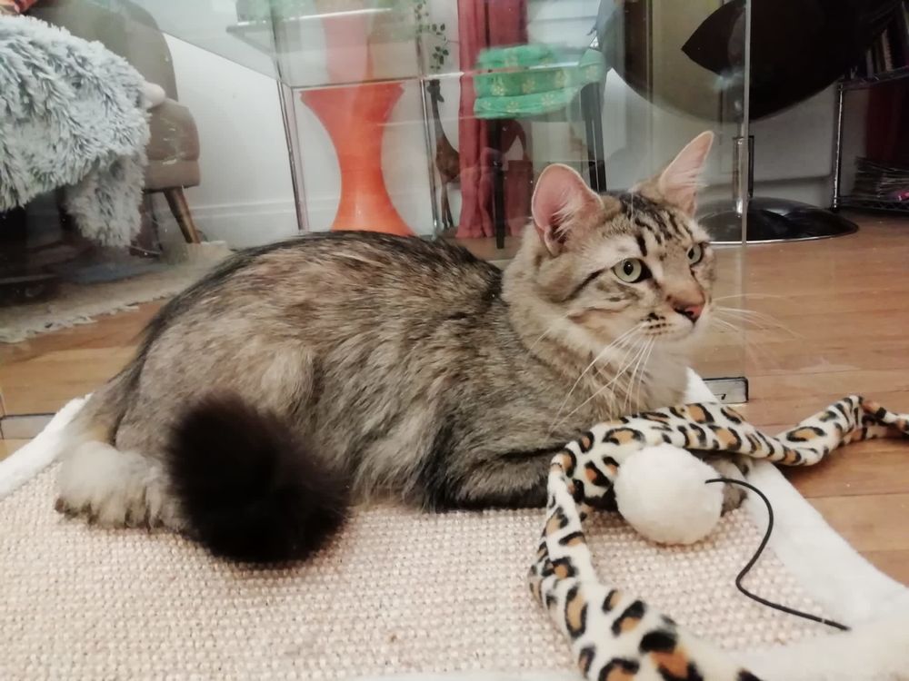 TATOO 240 92400 Courbevoie