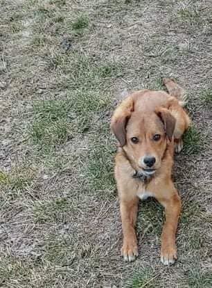 LORA 320 27620 Gasny