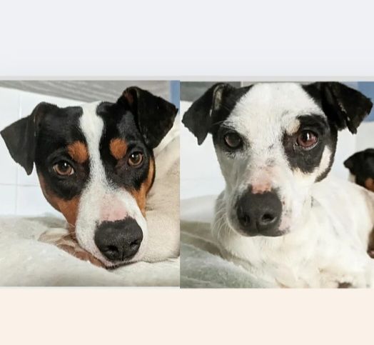 SYRAH et AIREN 640 27620 Gasny