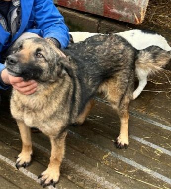 TEXAS 320 27620 Gasny