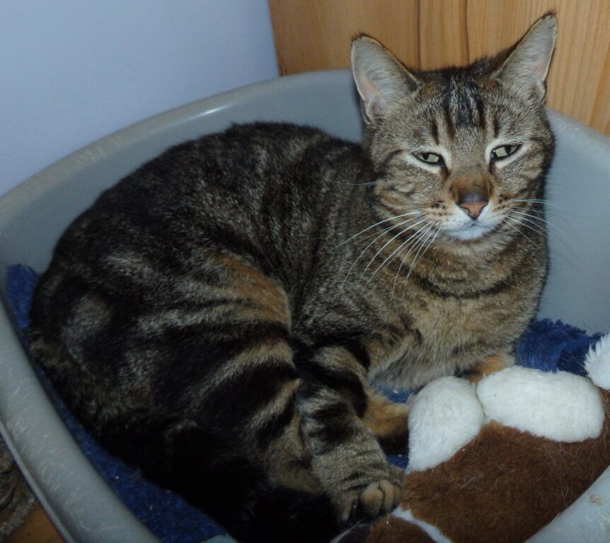 Esme 250 47500 Sauveterre-la-l�mance