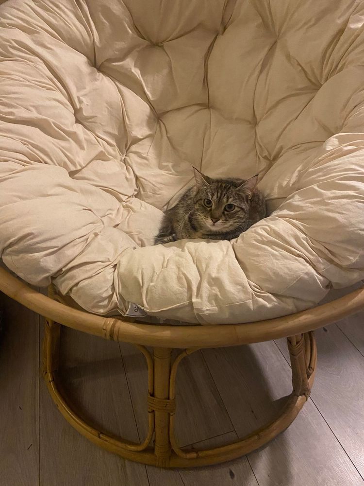 BIANCA la discr&egrave;te &agrave; l'adoption 290 92290 Ch�tenay-malabry