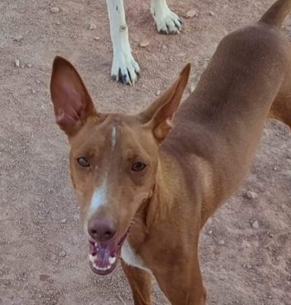 TOFU 320 27620 Gasny