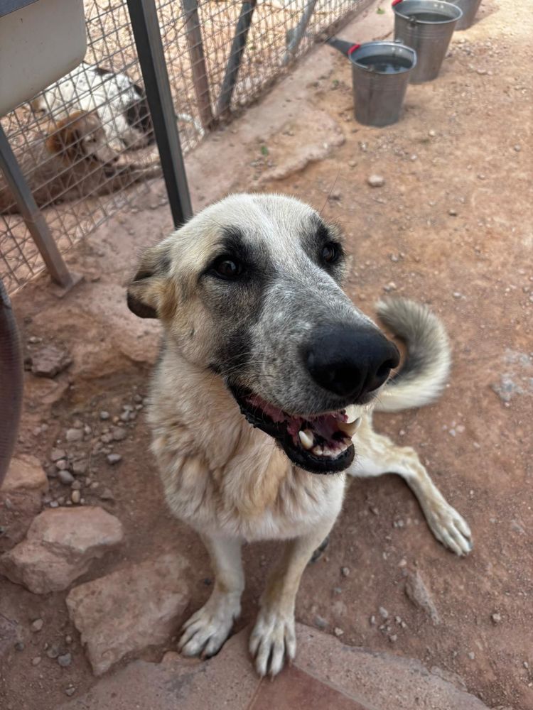 KIKO 320 27620 Gasny