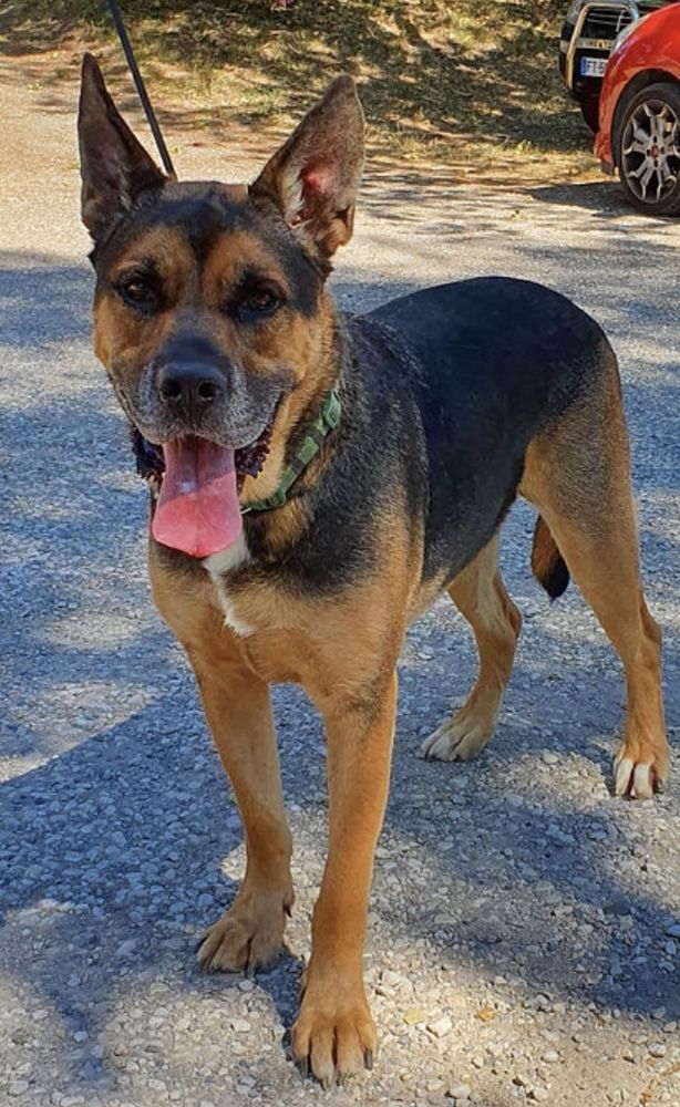 Narco 230 26700 Pierrelatte