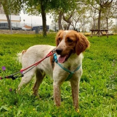 MARCO 320 27620 Gasny