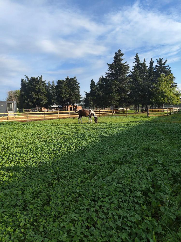 Pension equipistes sur Lapalud 300 84840 Lapalud