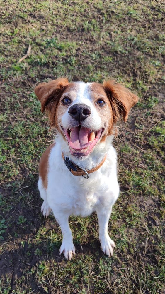 Jaspy 1 44000 Nantes