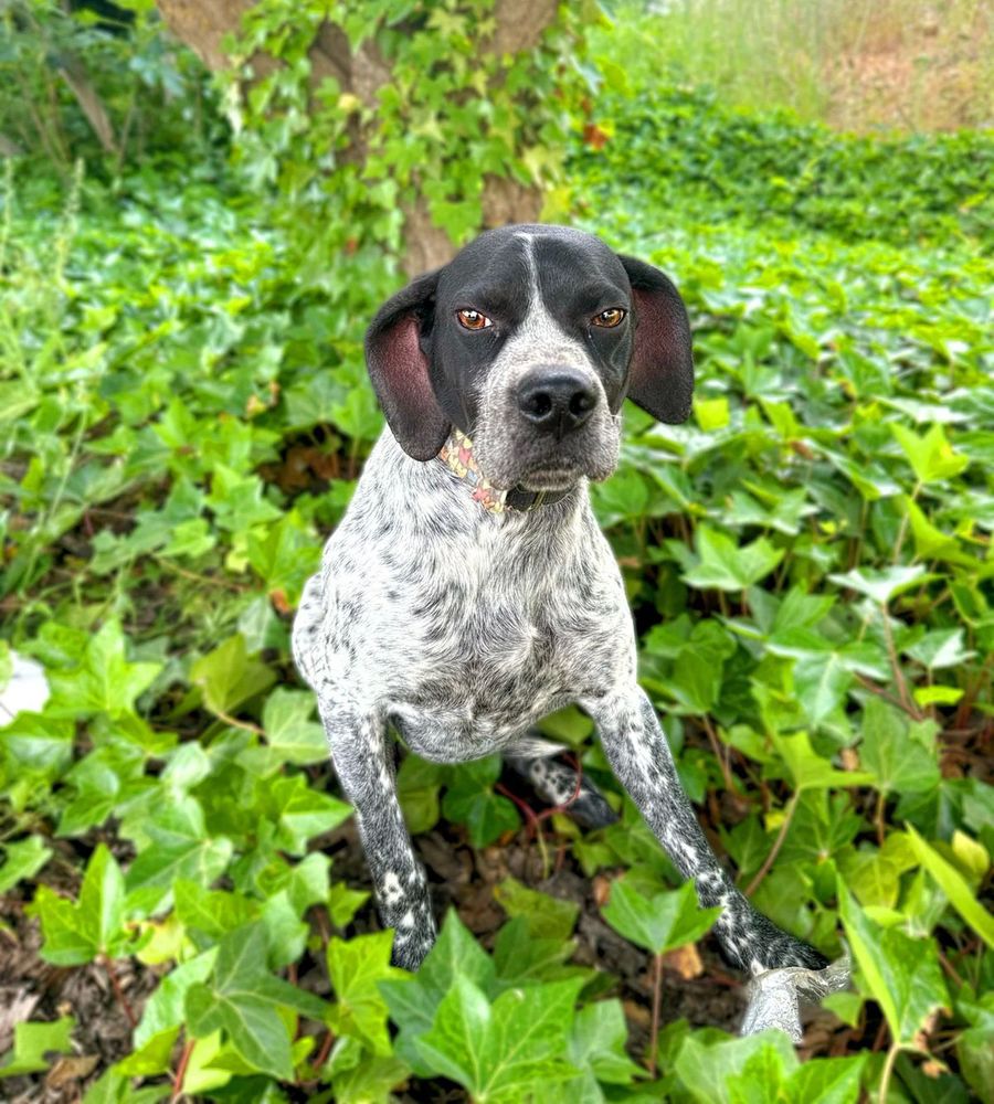 MARIO 320 27620 Gasny