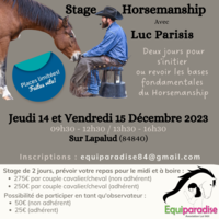 stage horsemanship avec Luc Parisis 250 84840 Lapalud