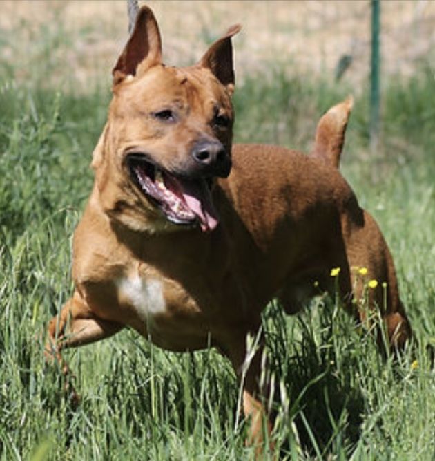 Natsu 230 26700 Pierrelatte