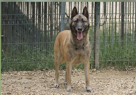 Orka 130 26700 Pierrelatte