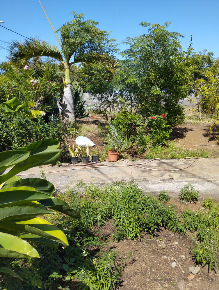 ORPI - TROIS-BASSINS MAISON F4 (100 m²)EXCLUSIVITÉ