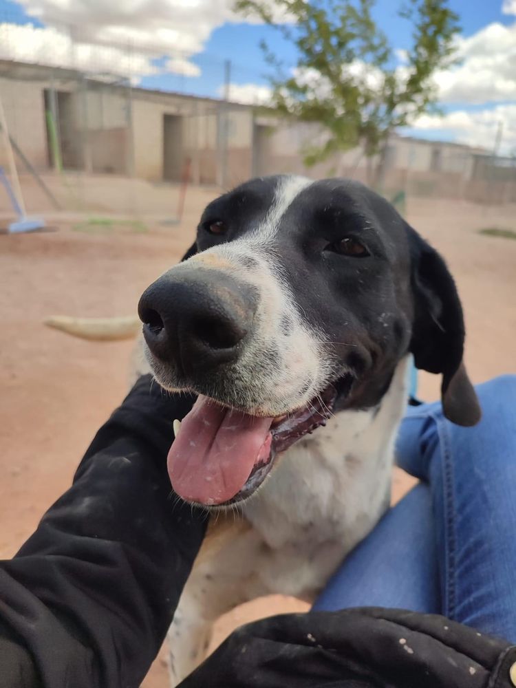 PILI et MILI 640 27620 Gasny