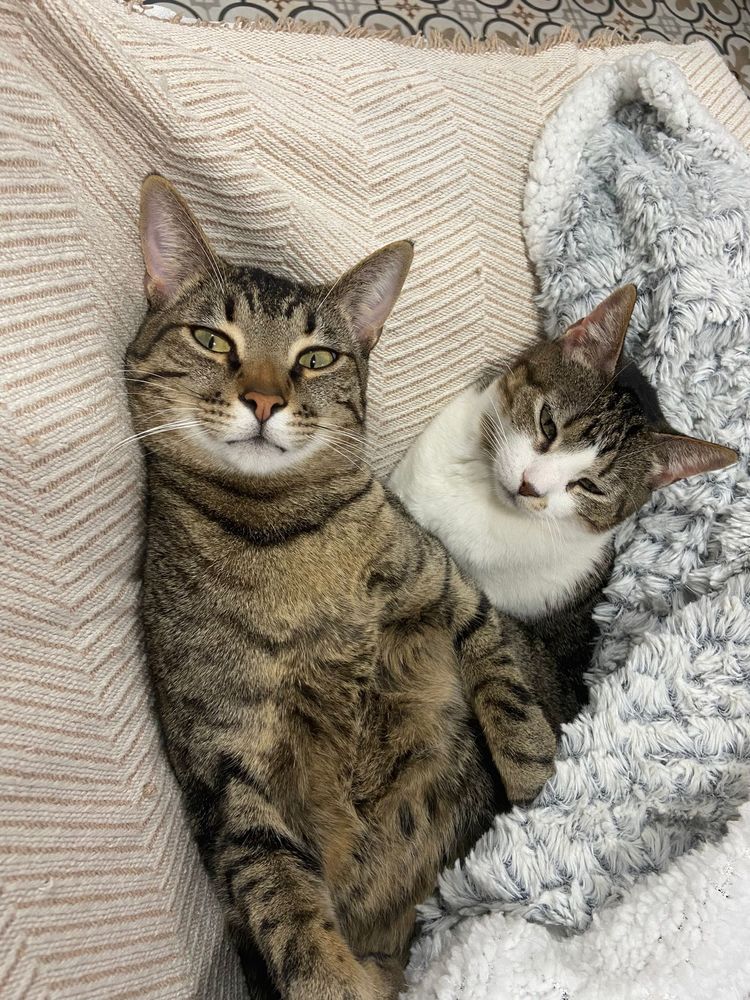 Dulce & Puchero 460 27620 Gasny