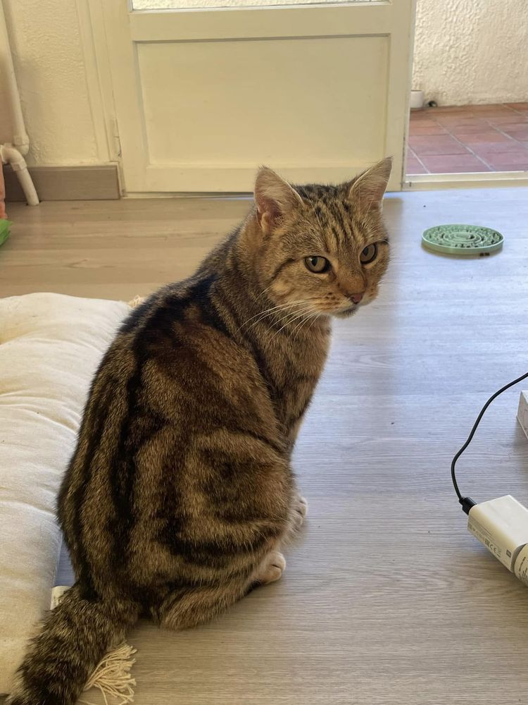 Mirabelle 80 44000 Nantes