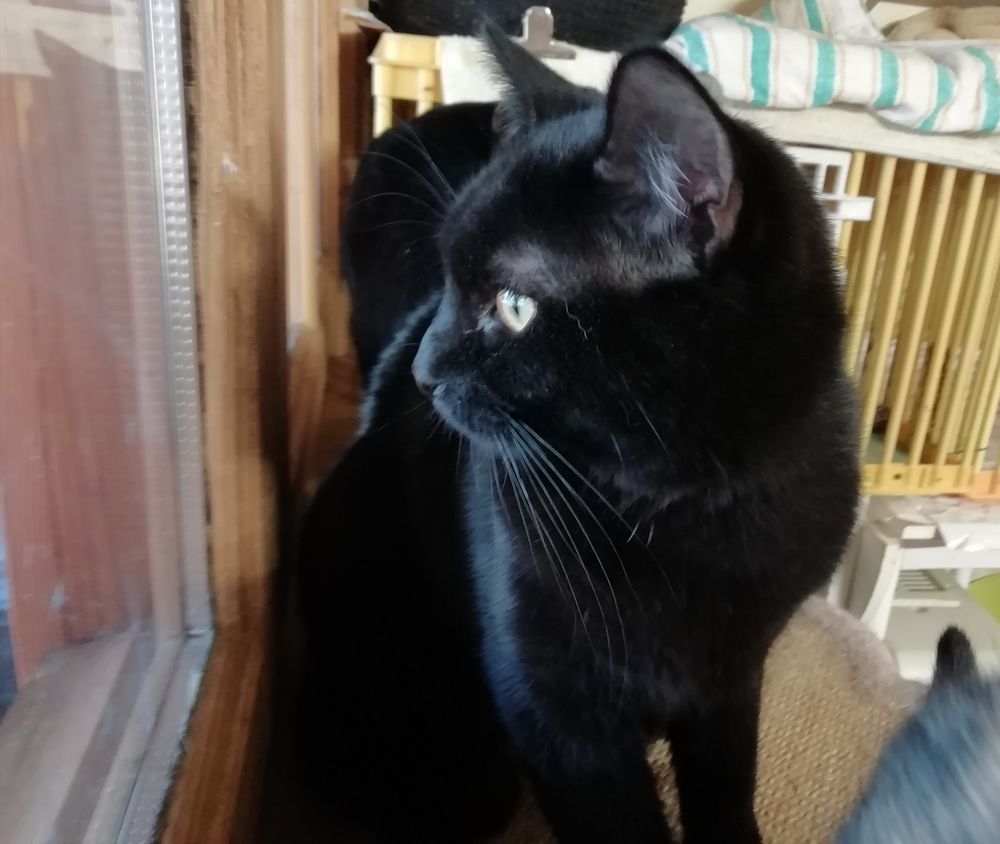 UDO 240 92400 Courbevoie