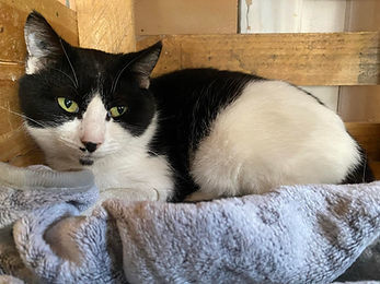 EUREKA 170 26700 Pierrelatte