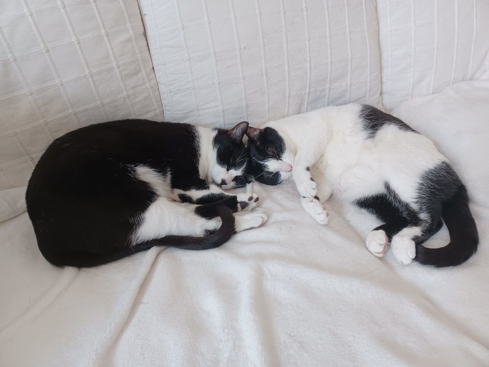 REJANE ET BERLINGOT 430 92400 Courbevoie