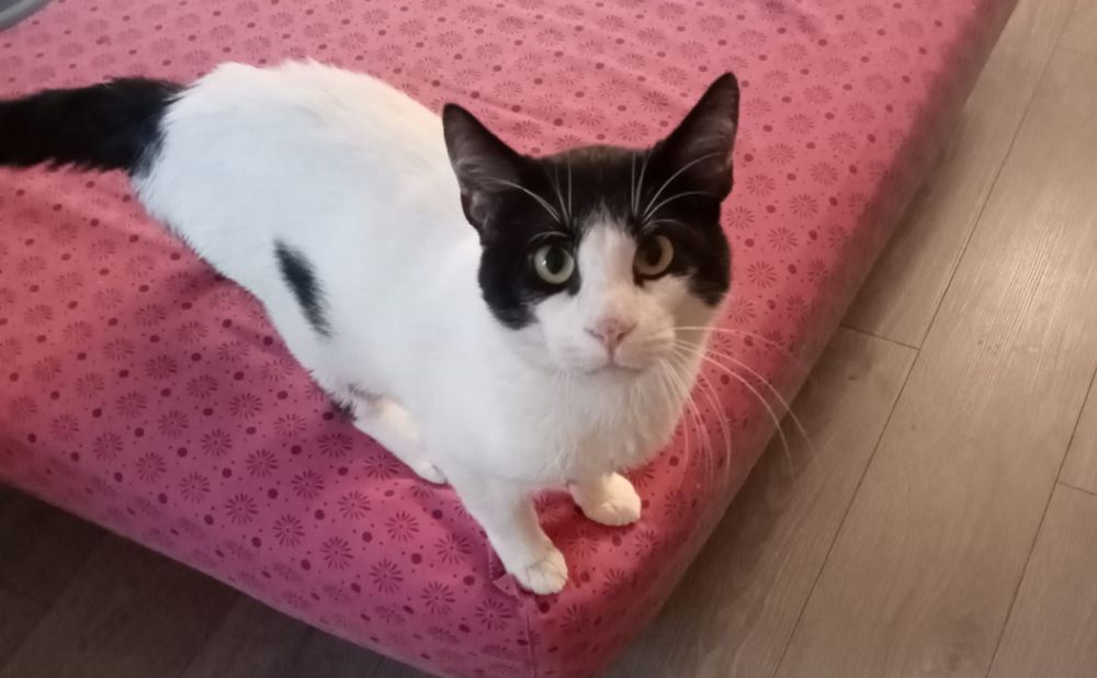 VIDOCQ 75 27630 Fourges