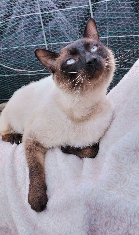 Shun Gon 80 44000 Nantes