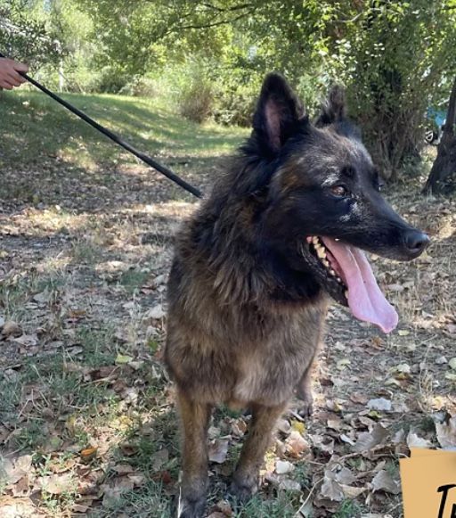 N'J 130 26700 Pierrelatte