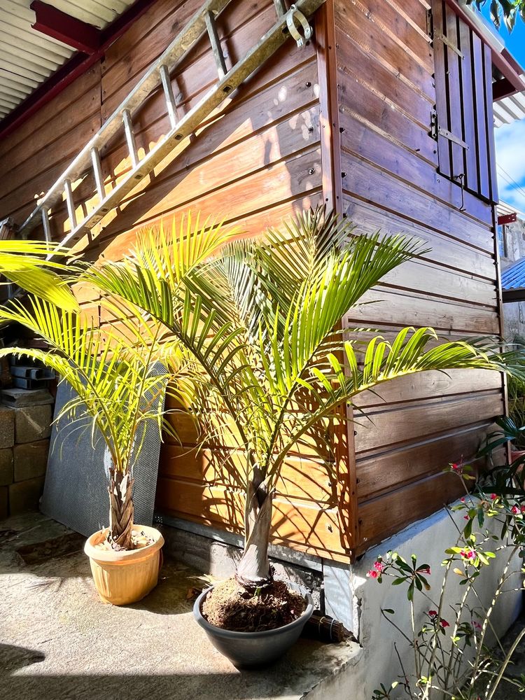 ORPI - SAINT LEU MAISON 103M²