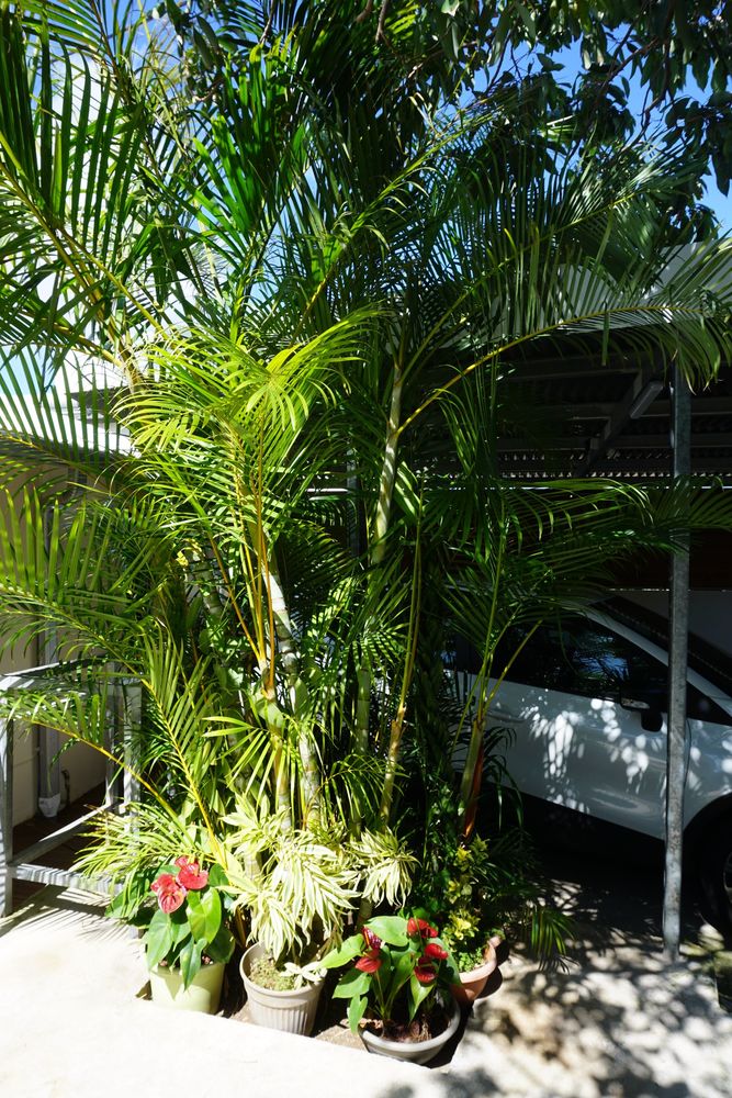 ORPI - SAINT LEU MAISON 103M²