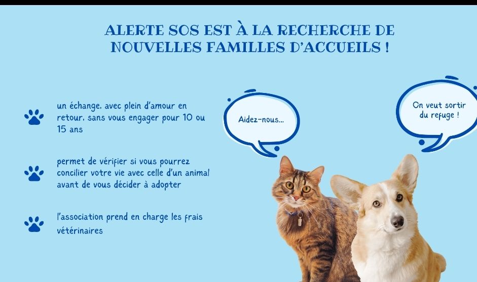 ALERTE SOS RECHERCHE DES FAMILLES D'ACCEUIL 0 75018 Paris