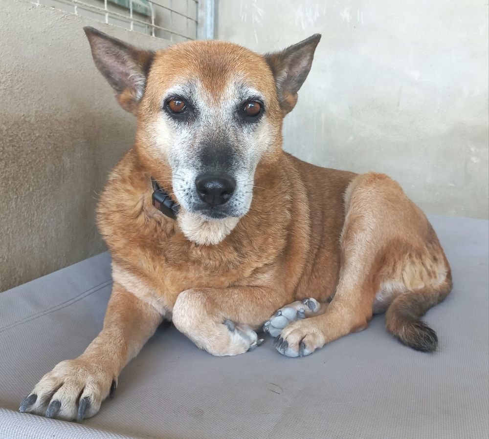 GORDA 320 27620 Gasny