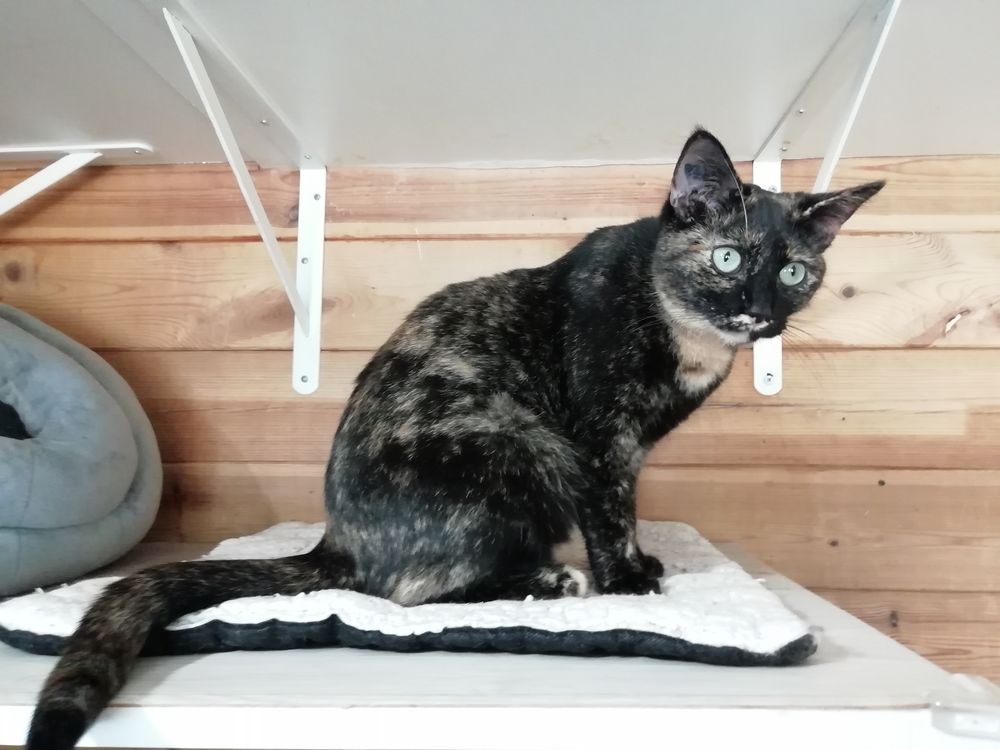 THAIS 240 92400 Courbevoie